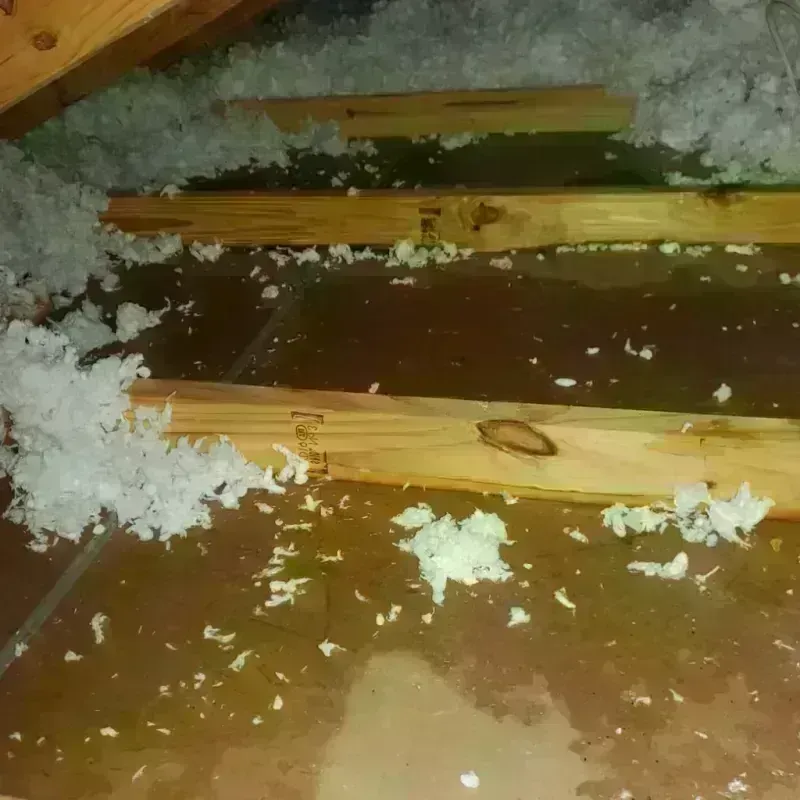 Attic Water Damage in Fairburn, GA