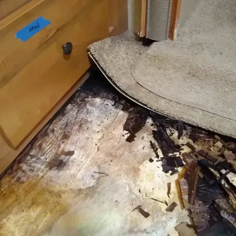 Wood Floor Water Damage in Fairburn, GA